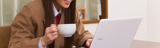 PV(ページ・ビュー)による報酬